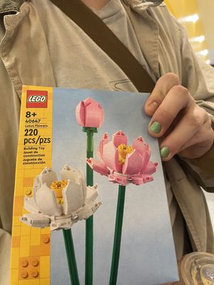 Lego set