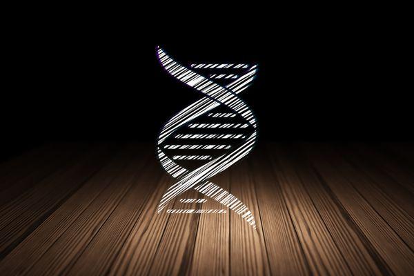 Personalized Genomic Testing - Hereditary Risk Assessment for Heart Health, Brain Health, Cancer Risk, Sleep Disorders, Depre...