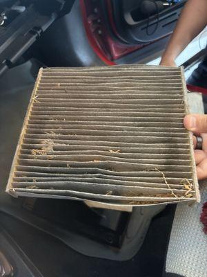 Cabin Air Filter