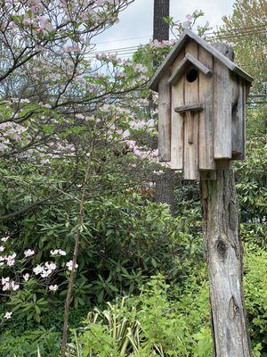 Birdhouse!