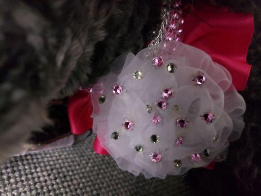 Pet collar accessory up close