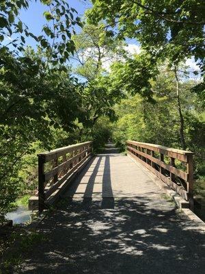 A bridge on the trail