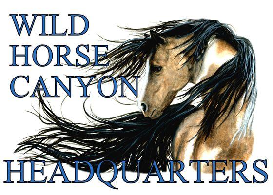 The Wild Horse Re-Store