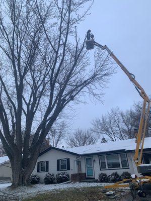 EKJ Tree Service