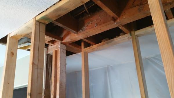 Carter kitchen remodel in San Carlos. Replacing structural beam to open up kitchen and add peninsula