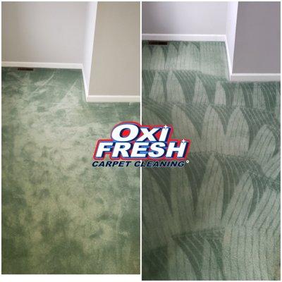 Green Carpet Cleaning before and after photo in Beleville