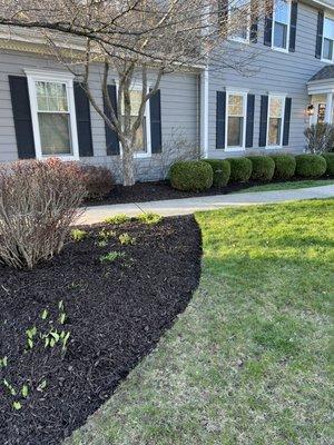 Edging and mulch services