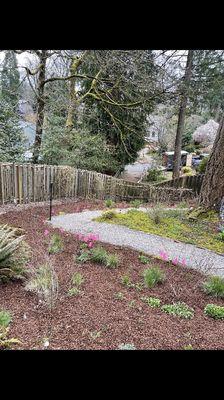 New bark and rocks in backyard.