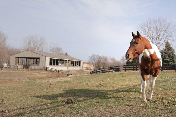 Ready Set Ride Therapeutic Recreation Facility