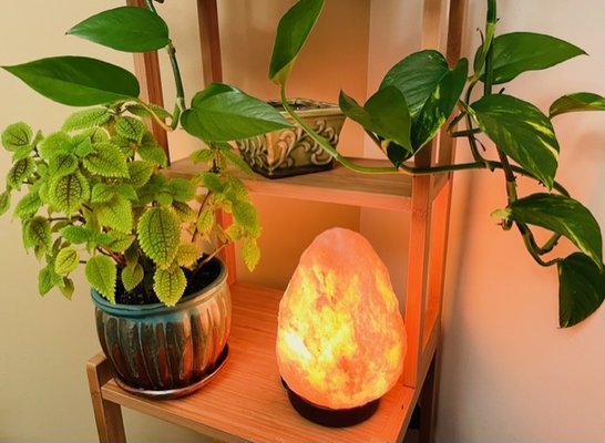 Discover the transformative benefits of our Original Himalayan Salt Lamps. Sourced from the Khewra mine in Pakistan.