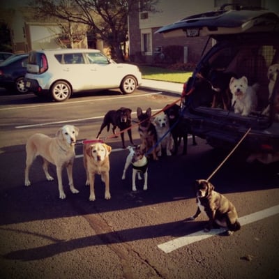 Group pic. Say, "cheese!"