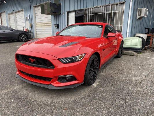 Mustang in for a Repair