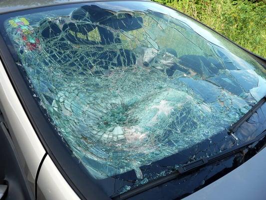 Accurate Auto Glass of America Green Bay, WI Broken Car Glass