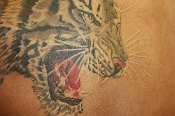 Realism, tiger