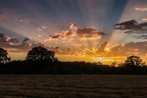 Sunset in the Willamette Valley