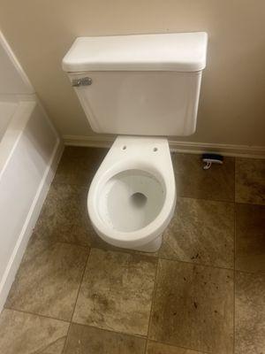 Cleaned toilet