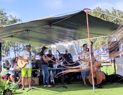 Hawaiian Music. Nice!