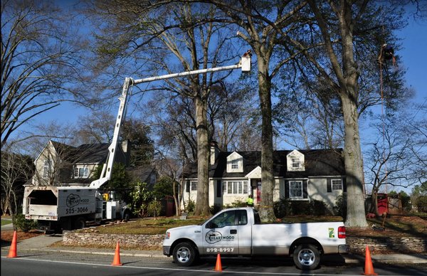 Heartwood Tree Service