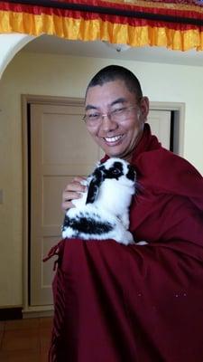 Khenpo Karten Rinpoche and our new bunny Mi Chi. He loves animals and gives beautiful blessings when needed.