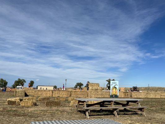 Seating and hay bale maze