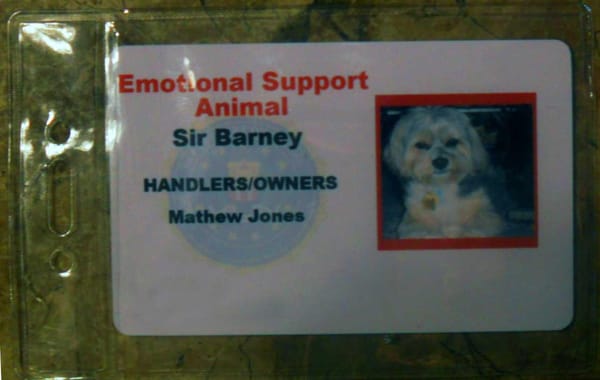 service animal tags emotional support animal tags www.emosdogtags.com cheap animal flights no apartment fee service dog