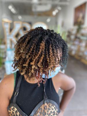 Two Strand Twist Out