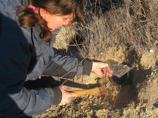 Burrowing Owl Relocation