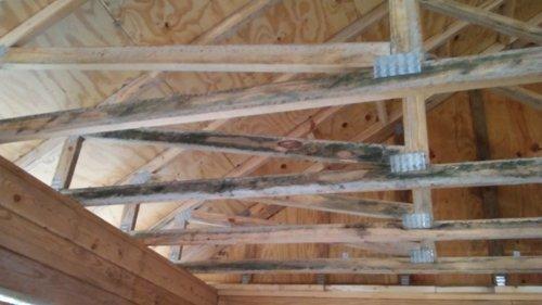 Mold on trusses