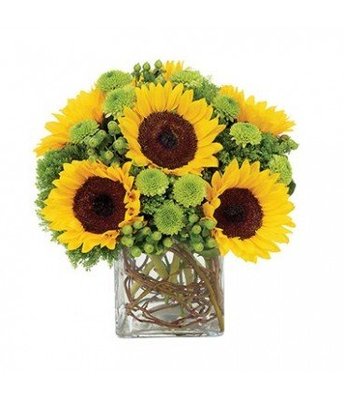 100% Satisfaction guarantee on all flowers delivered.