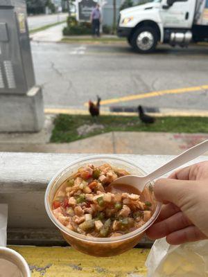 Dining with the chicken.  Conch salad. More like ceviche.