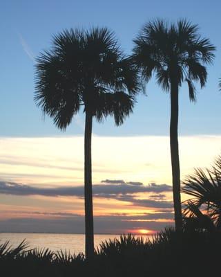 Sunset on the Skyway