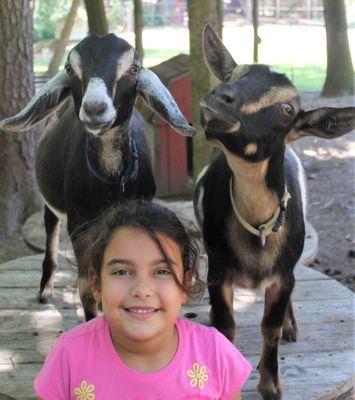 Our mini farm animals are always eager to play with our campers!