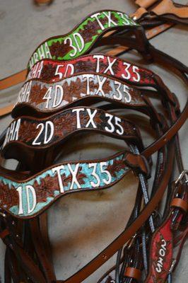 Amazing Trophy Tack Options!