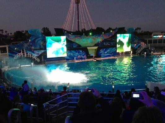 Shamu Rocks