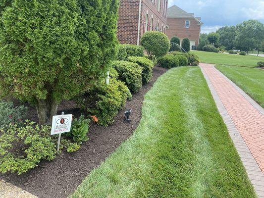 Mulch with edging