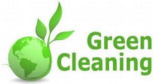 100% Non-Toxic Carpet Cleaning