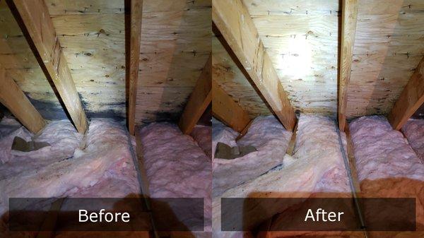 Eliminate mold from Attic sheathing. More importantly  - only with dry fog do you avoid the cost of replacing insulation.