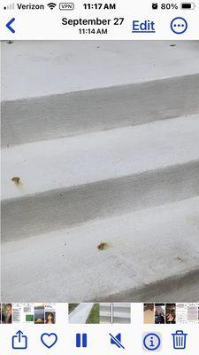 Stains of bird poop that the sealant is not resistant to stains.