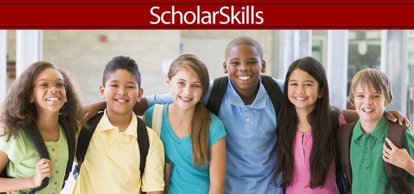 Scholarskills