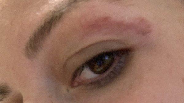 Don't ever ever come here. Been getting eyebrow waxed for over a decade, came here and look at what they did to me!!