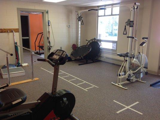 Therapy gym