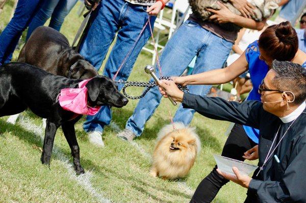 "Blessing of the Animals" on Oct. 2016 at the Jennie Lane Park in Manor, Texas [La "Bendición de Animales" en oct. 2016]