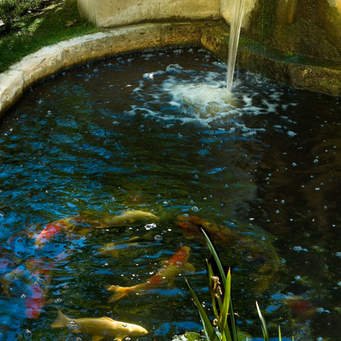 Commercial Property Water Features