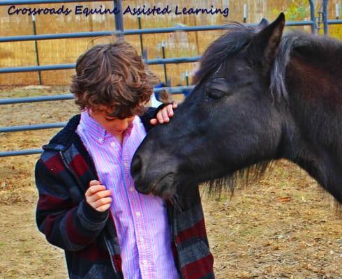 Humans and horses, a natural collaboration for growth and learning.