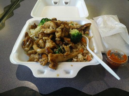 Special of the Day: Chicken Teriyaki with Fried Rice and Vegetables