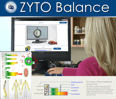 Zyto scans analysis activity around four core body systems