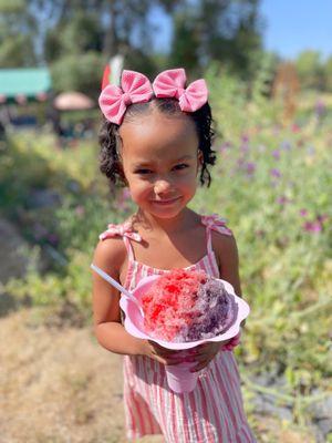 Large Shaved Ice with 3 Flavors