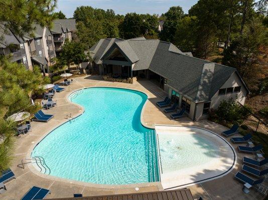 Lagoon Style Pool