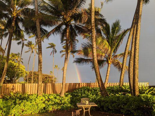 Rainbow in the morning