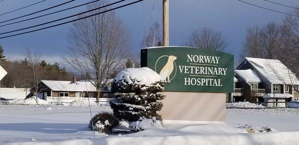 Norway Veterinary Hospital